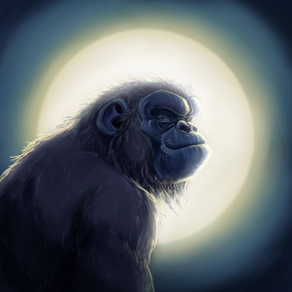 Moon Monkey Moon Monkey