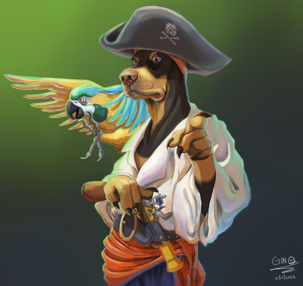 Doggy Pirate Doggy Pirate